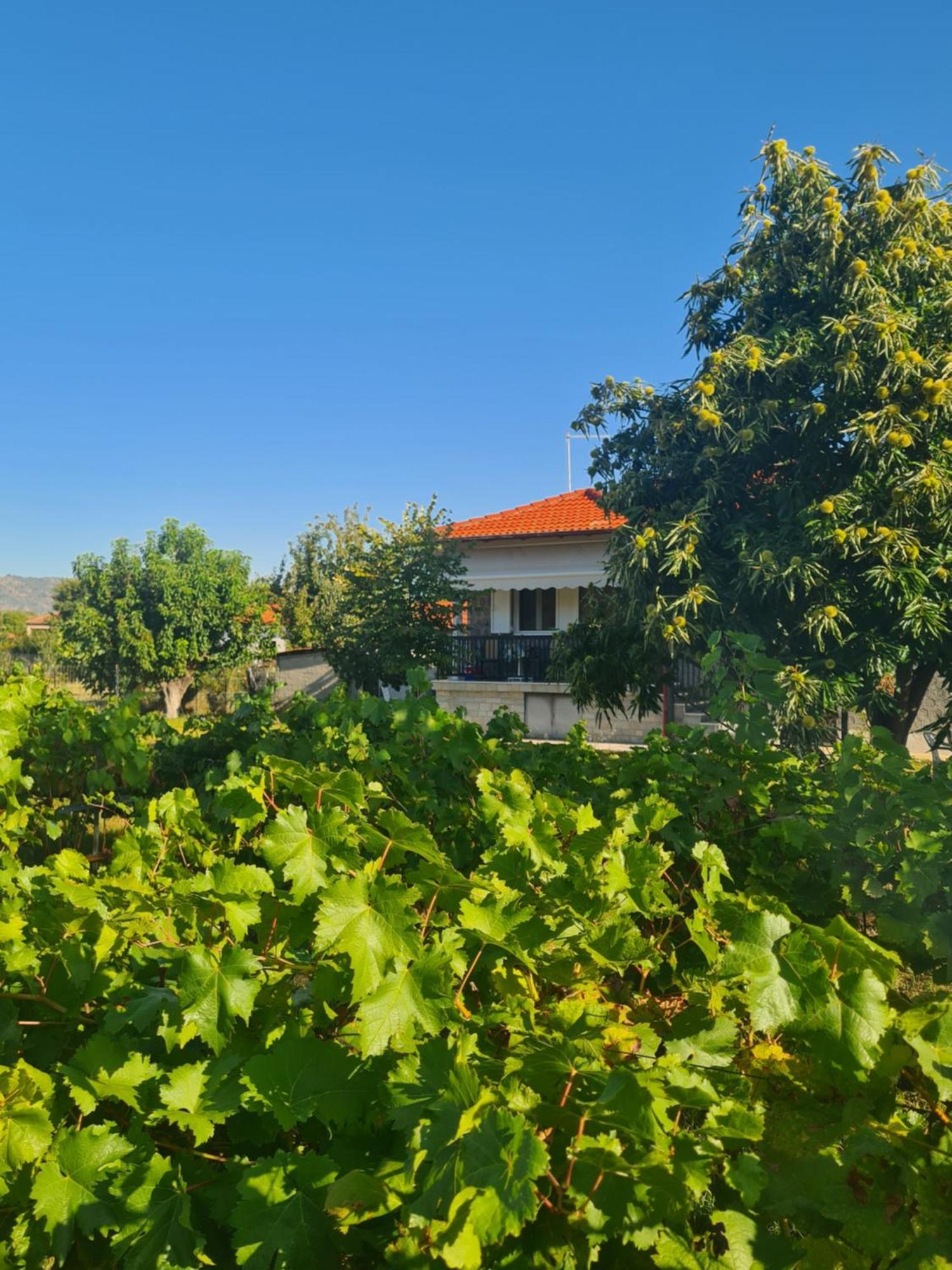 Villa Anna Paliókastron Esterno foto