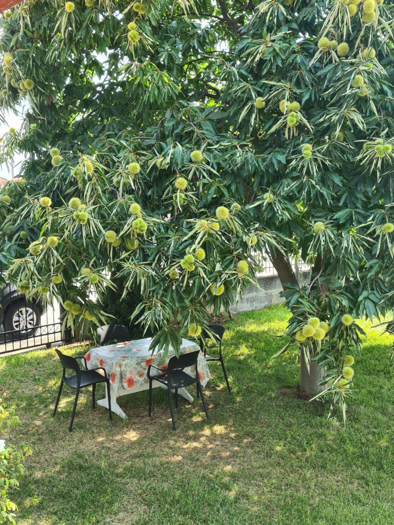 Villa Anna Paliókastron Esterno foto
